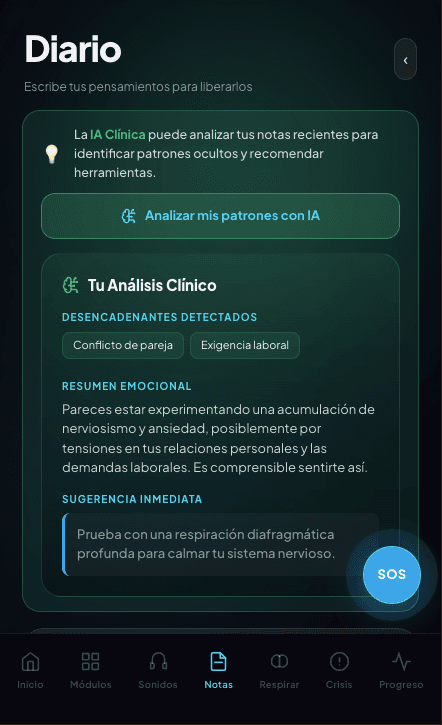 Análisis del diario